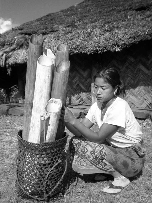 Bamboo pipes – Mon district, Nagaland